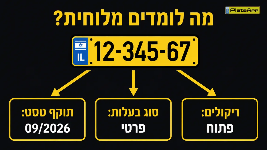 אינפוגרפיקה: לוחית רישוי וקופסאות מידע — תוקף טסט, סוג בעלות, ריקולים