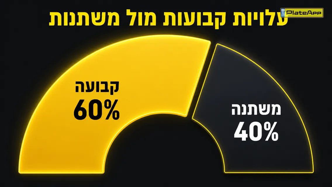 אינפוגרפיקה שמציגה יחס בין עלויות קבועות לעלויות משתנות באחזקת רכב